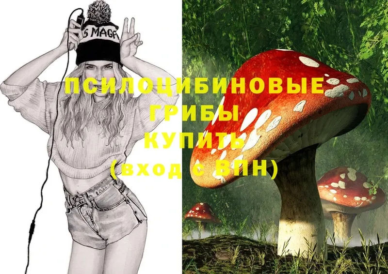 купить закладку  Киреевск  Галлюциногенные грибы Psilocybe 